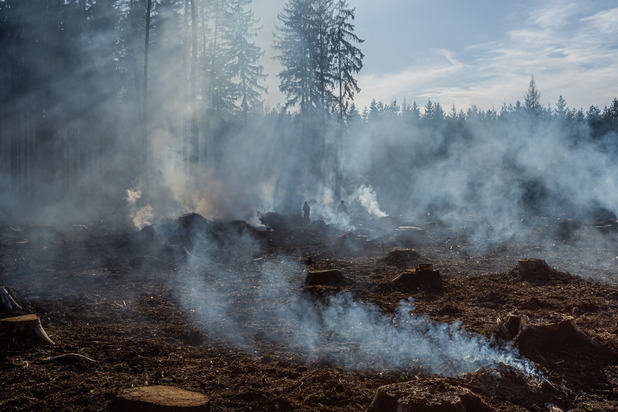 Atemschutz bei Waldbränden und Nachlöscharbeiten